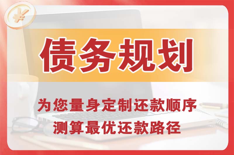 项城债务规划